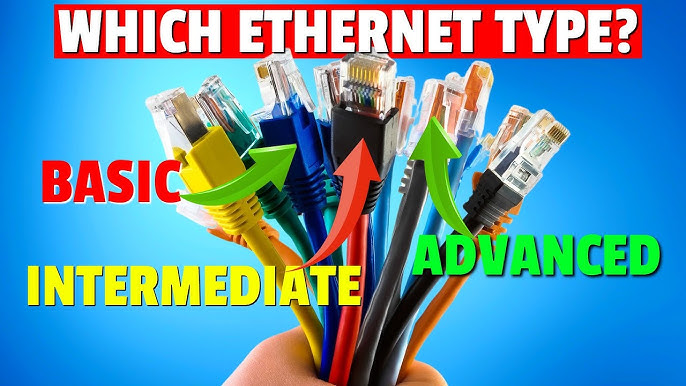 Everything You Need to Know About 30 Ft Ethernet Cables