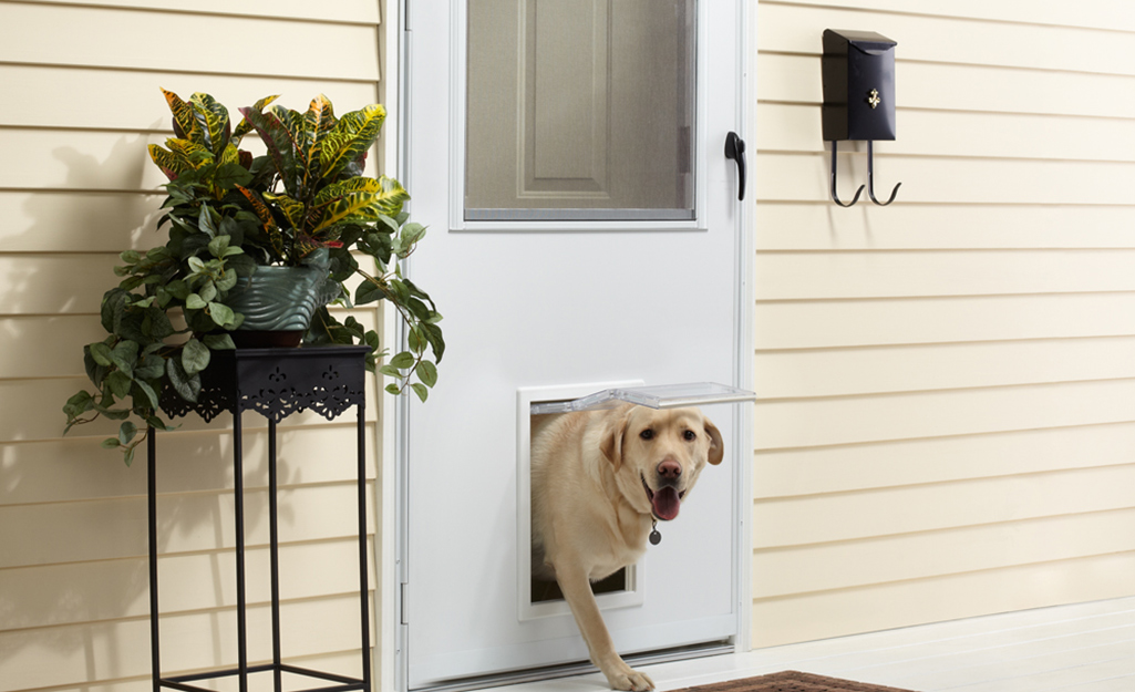 Screen door protector for dogs